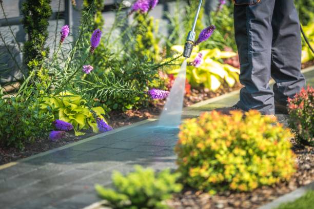 Best Parking Lot and Garage Cleaning  in Hamilton, MO