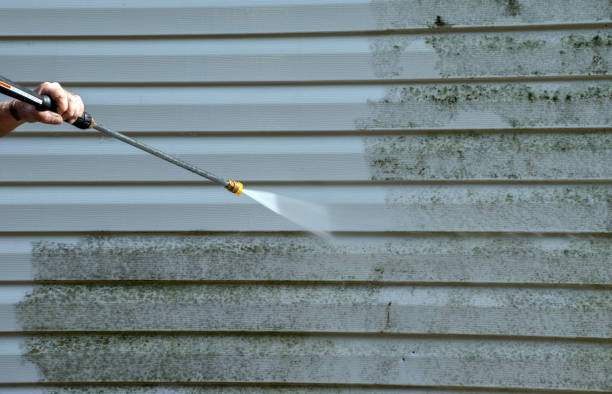 Best Roof Washing  in Hamilton, MO